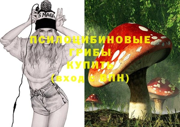 ГАЛЛЮЦИНОГЕННЫЕ ГРИБЫ Заволжск