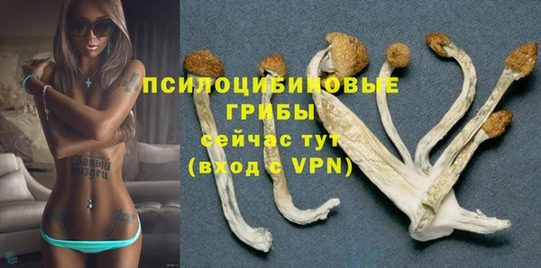 не бодяженный Тобольск
