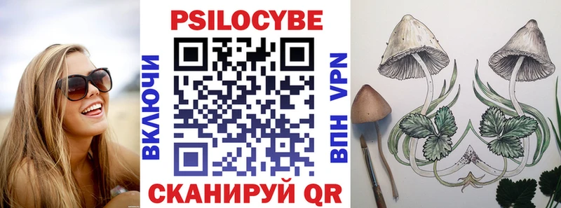 Галлюциногенные грибы Cubensis Старица